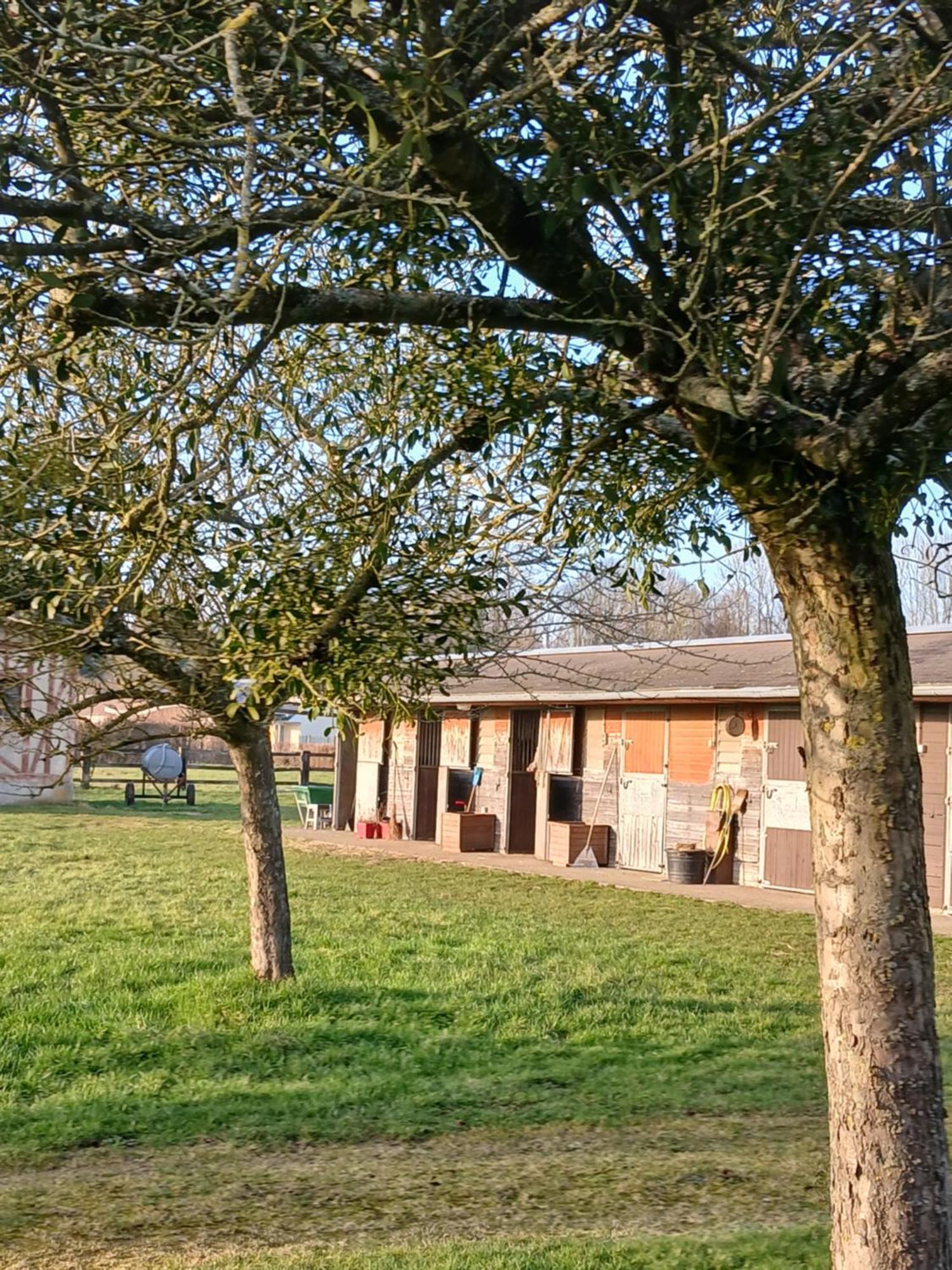 Bed and Breakfast Domaine Des Ifs Le Pin  Exterior foto