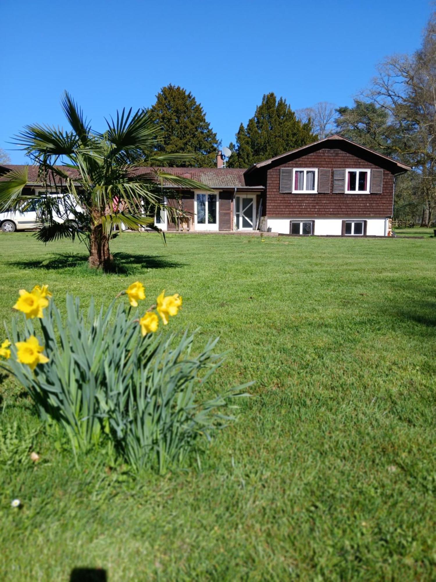 Bed and Breakfast Domaine Des Ifs Le Pin  Exterior foto