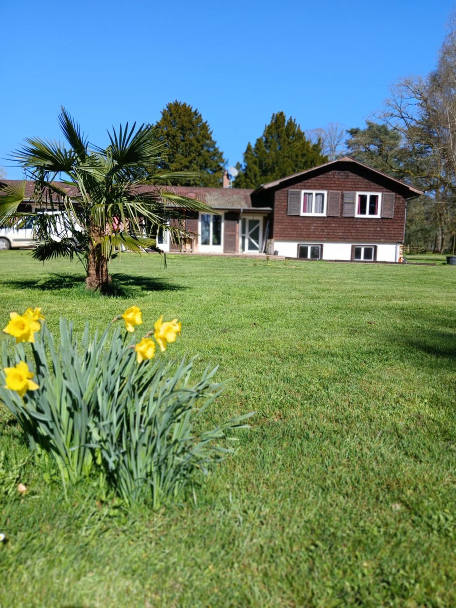 Bed and Breakfast Domaine Des Ifs Le Pin  Exterior foto